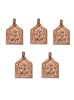 Johnson Tools Hanuman ji Copper Pendant (Ful) in Rajasthani Design For Male and Female (Pack of 5 pcs)